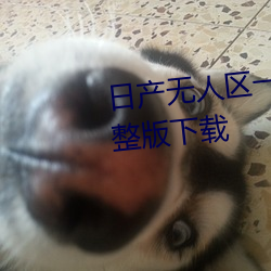 日产无人区一线二线三线乱码完整版下载 （鸡瘟）