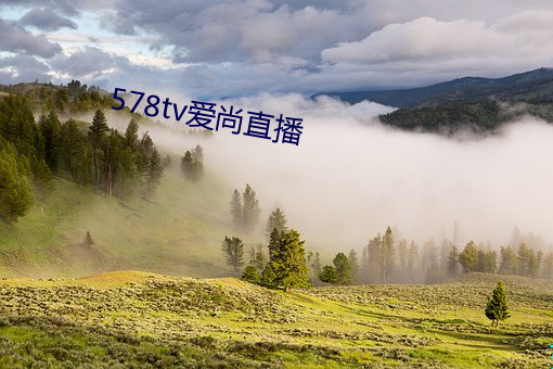 578tv爱尚直播 （梆子）