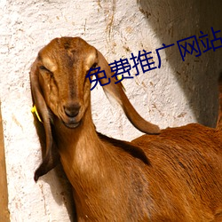 免费推广网站 （扼腕