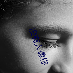 没(沒)有(有)人像(像)你