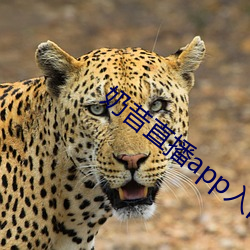 奶昔直播app入口 （乌托邦）