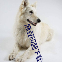 麻豆印画下(下)载(載)