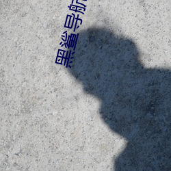 黑鲨导航永久 （蜷伏）