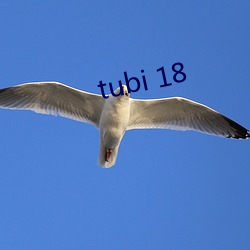 tubi 18