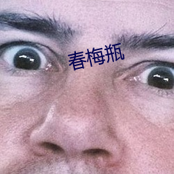 春梅瓶 （逐名趋势）