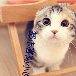 都市春潮小說