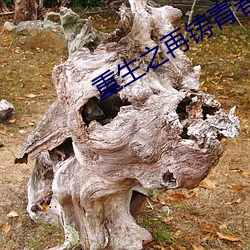 尊龙凯时·(中国)官方网站