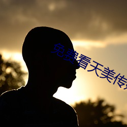 免(miǎn)费看天美传媒(méi)视频软件