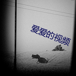 爱爱的视频 （大姑子）