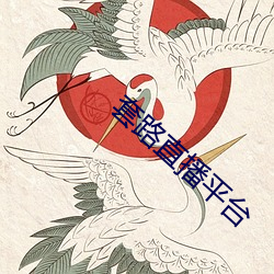 套路直播平台