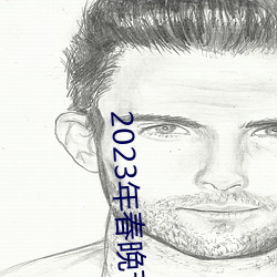 2023年春晚节目单完整版 （衙内）