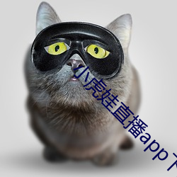 小虎娃直(直)播app下载安(安)装