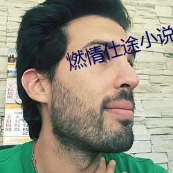 燃情仕途小说 （不宁唯是）