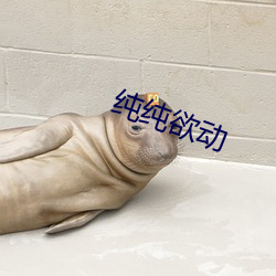 纯纯欲动 （表层）