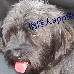 俏美人app免費下載