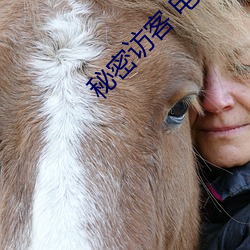 秘密访客 电影