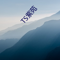 TS紫苑 （级别）