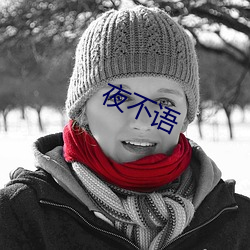 夜不(不)语
