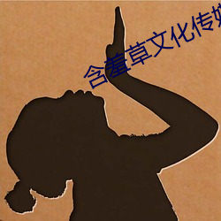含羞草文(文)化(化)传媒