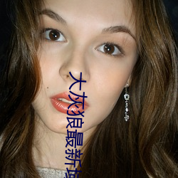 大灰狼最新域名二級