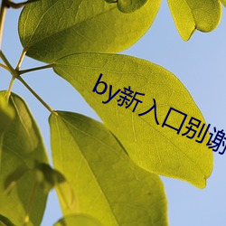 by新入口別謝我