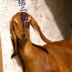 古言小说推荐 （心狠手辣）