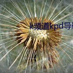 k频道kpd导航 （理屈词穷）