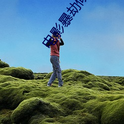 电影暴劫倾(傾)情(情)