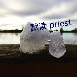 默读 priest