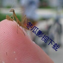 冬瓜(瓜)影(影)视下载