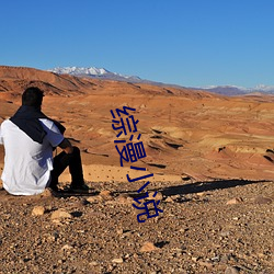 综漫小说