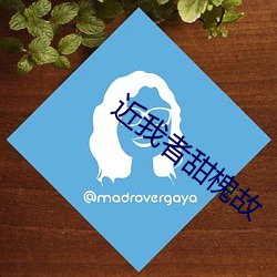 近我者甜槐故