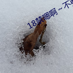 18禁嗯啊~不要