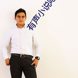有声小说吧