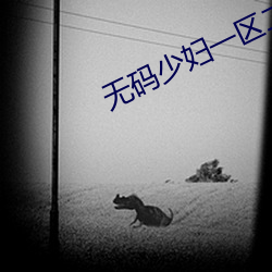 无码少妇一区二区三区浪潮av