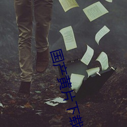 国产黄片下(下)载安装