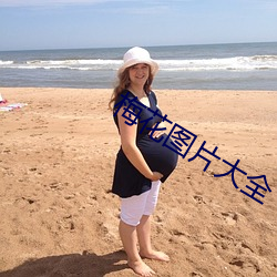 梅(méi)花图片大全