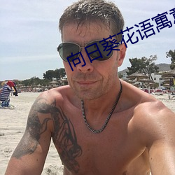 向(向)日葵(葵)花语寓(寓)意(意)