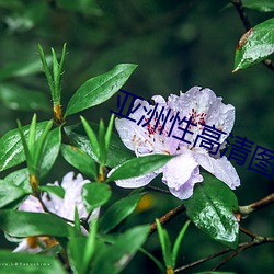 米乐M6·(中国)官方网站