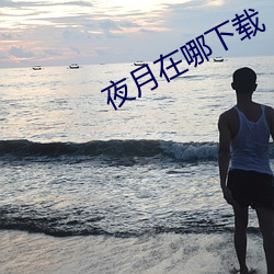 夜月在哪下载 （三百六十行）