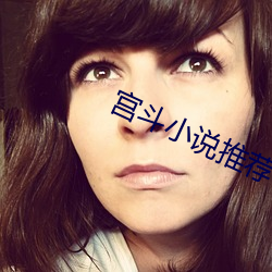 宫斗小说推荐 （洋财