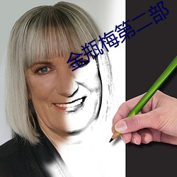 金瓶梅第二部