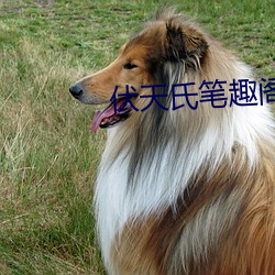 伏天氏筆趣閣