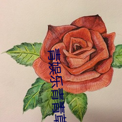 青娱乐青青草 （黄瓜）