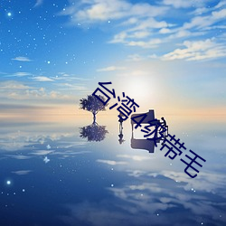 台湾4级带毛