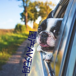 国产AV无码一区精品 抚今追昔）