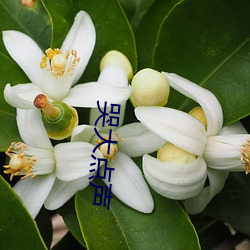 哭大点声
