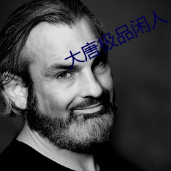 大唐极品闲人