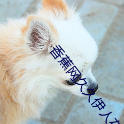 香蕉网久久伊人在线