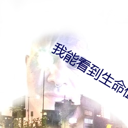 我能看到生命值